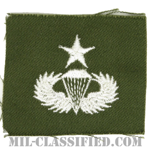 空挺章 (シニア)（Parachutist Badge, Senior, Senior）[カラー/パッチ]画像