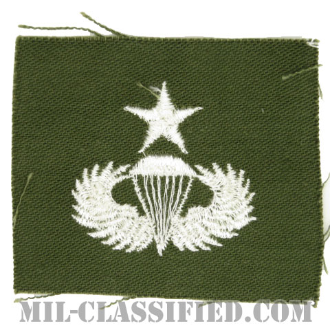 空挺章 (シニア)（Parachutist Badge, Senior, Senior）[カラー/パッチ]画像