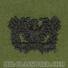 准尉章（Warrant Officers）[サブデュード/兵科章/パッチ/ペア（2枚1組）]の画像