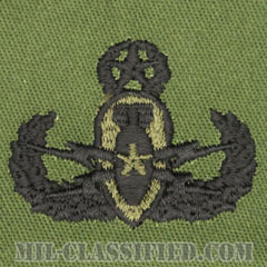 爆破物処理章 (マスター)（Explosive Ordnance Disposal (EOD), Badge, Master）[サブデュード/パッチ]の画像