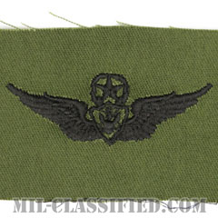 航空機搭乗員章 (マスター・エアクルー)（Army Aviation Badge (Aircrew), Master）[サブデュード/パッチ]の画像