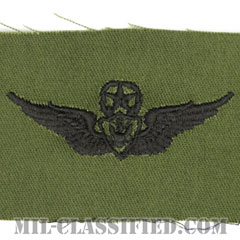 航空機搭乗員章 (マスター・エアクルー)（Army Aviation Badge (Aircrew), Master）[サブデュード/パッチ]画像