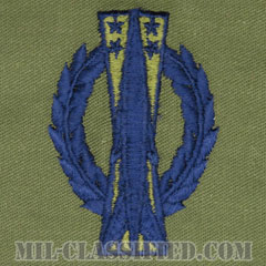 ミサイル運用章 (ベーシック)（Missile Operations Badge, Basic）[サブデュード/ブルー刺繍/パッチ]の画像