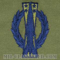 ミサイル運用章 (ベーシック)（Missile Operations Badge, Basic）[サブデュード/ブルー刺繍/パッチ]画像
