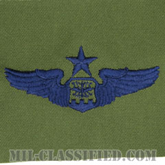 航空士章 (ナビゲーター・シニア)（Navigator/Observer Badge, Senior）[サブデュード/ブルー刺繍/パッチ]画像