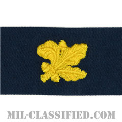 補給科章（Supply Corps）[カバーオール/海軍徽章/生地テープパッチ]の画像