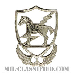 第10特殊部隊群（10th Special Forces Group）[カラー/クレスト（Crest・DUI・DI）/バッジ/レプリカ]の画像