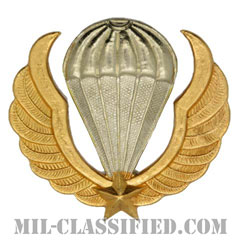 南ベトナム軍空挺ベレー章（RVN Parachutist (ND)）[カラー/バッジ/レプリカ]の画像