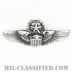航空機操縦士章 (コマンド・パイロット)（Air Force Command Pilot Badge）[カラー/燻し銀/ピンバック/バッジ/レプリカ]の画像