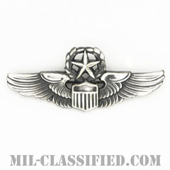 航空機操縦士章 (コマンド・パイロット)（Air Force Command Pilot Badge）[カラー/燻し銀/ピンバック/バッジ/レプリカ]画像