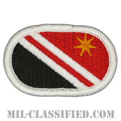 第84工兵中隊（84th Engineer Company）[カラー/メロウエッジ/オーバルパッチ]の画像