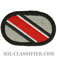 第346心理作戦中隊（346th Psychological Operations Company）[カラー/メロウエッジ/オーバルパッチ]の画像