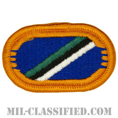 第160特殊作戦航空連隊第4大隊（4th Battalion, 160th Special Operations Aviation Regiment）[カラー/メロウエッジ/オーバルパッチ]の画像