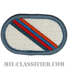 第101空挺師団第3旅団戦闘団特殊部隊大隊（STB, 3rd BCT, 101st Airborne Division）[カラー/メロウエッジ/オーバルパッチ]の画像