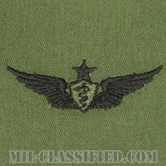 飛行医師章 (シニア)（Flight Surgeon, Senior）[サブデュード/パッチ]の画像