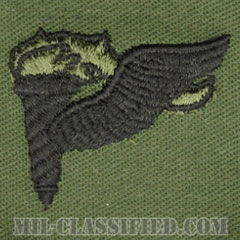 先導降下員章 (パスファインダー)（Pathfinder Badge）[サブデュード/パッチ]の画像