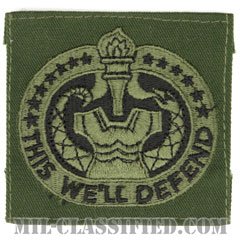 教育係軍曹識別章（Drill Sergeant Identification Badge）[サブデュード/パッチ]画像