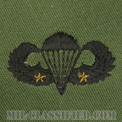 戦闘空挺章 (ベーシック) 降下2回（Combat Parachutist Badge, Basic, Two Jump）[サブデュード/パッチ]画像