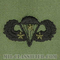 戦闘空挺章 (ベーシック) 降下3回（Combat Parachutist Badge, Basic, Three Jump）[サブデュード/パッチ]画像