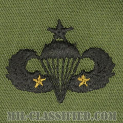戦闘空挺章 (シニア) 降下2回（Combat Parachutist Badge, Senior, Two Jump）[サブデュード/パッチ]画像