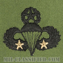 戦闘空挺章 (マスター) 降下2回（Combat Parachutist Badge, Master, Two Jump）[サブデュード/パッチ]画像