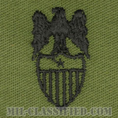 准将補佐官（Aide to the Brigadier General）[サブデュード/兵科章/パッチ/ペア（2枚1組）]の画像