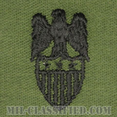 中将補佐官（Aide to the Lieutenant General）[サブデュード/兵科章/パッチ/ペア（2枚1組）]の画像