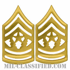 最先任上級曹長（Command Sergeant Major (CSM)）[カラー/階級章/バッジ/ペア（2個1組）]画像