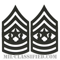 最先任上級曹長（Command Sergeant Major (CSM)）[サブデュード（ブラックメタル）/階級章/バッジ/ペア（2個1組）]の画像