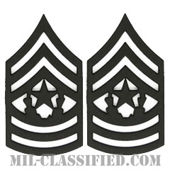 最先任上級曹長（Command Sergeant Major (CSM)）[サブデュード（ブラックメタル）/階級章/バッジ/ペア（2個1組）]画像