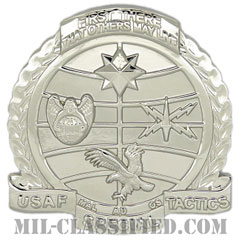 特殊戦術将校（Special Tactics Officer (STO)）[カラー/ベレー章/鏡面仕上げ/バッジ]の画像