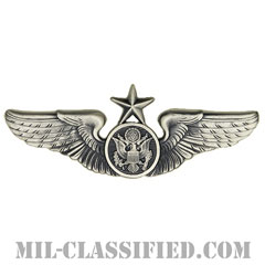 航空機搭乗員章 (下士官用シニア・エアクルー)（Air Force Enlisted Senior Aircrew Badge）[カラー/燻し銀/バッジ]の画像