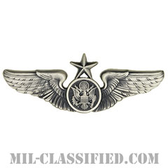 航空機搭乗員章 (下士官用シニア・エアクルー)（Air Force Enlisted Senior Aircrew Badge）[カラー/燻し銀/バッジ]画像