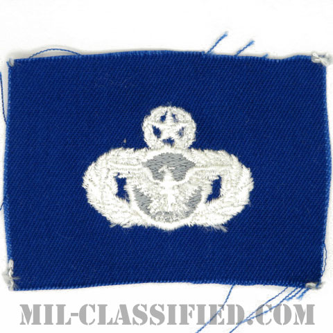 警備機能章 (マスター)（Security Police Functional Badge, Master）[カラー/空軍ブルー生地/パッチ]の画像