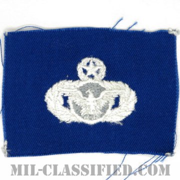 警備機能章 (マスター)（Security Police Functional Badge, Master）[カラー/空軍ブルー生地/パッチ]画像