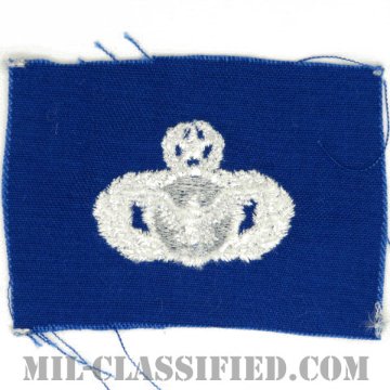 警備機能章 (マスター)（Security Police Functional Badge, Master）[カラー/空軍ブルー生地/パッチ]画像