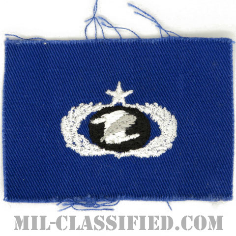 情報管理章 (シニア)（Information Management/Administration Badge, Senior）[カラー/空軍ブルー生地/パッチ]の画像