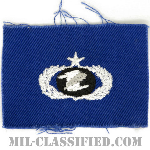 情報管理章 (シニア)（Information Management/Administration Badge, Senior）[カラー/空軍ブルー生地/パッチ]画像