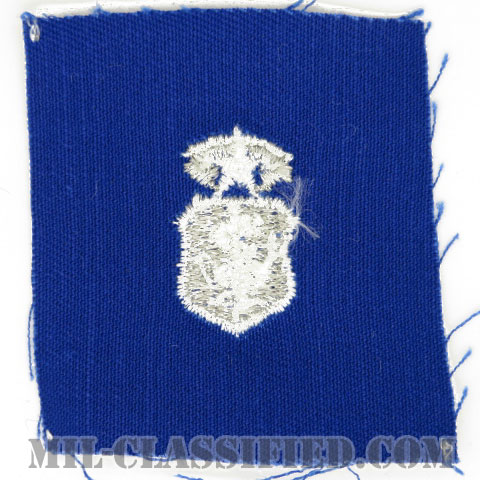 看護章 (チーフ)（Nurse Corps Badge, Chief）[カラー/空軍ブルー生地/パッチ]画像
