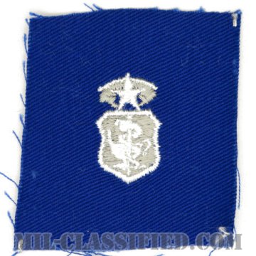 看護章 (チーフ)（Nurse Corps Badge, Chief）[カラー/空軍ブルー生地/パッチ]画像