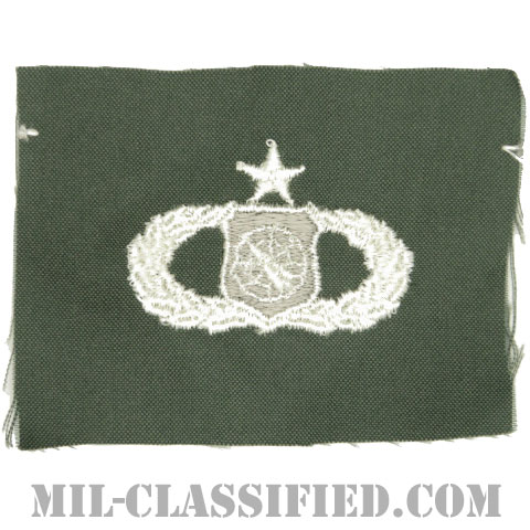 兵器指揮章 (シニア)（Weapons Director Badge, Senior）[カラー/空軍セージグリーン生地/パッチ]の画像