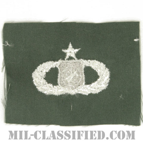 兵器指揮章 (シニア)（Weapons Director Badge, Senior）[カラー/空軍セージグリーン生地/パッチ]画像
