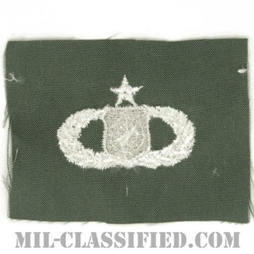 兵器指揮章 (シニア)（Weapons Director Badge, Senior）[カラー/空軍セージグリーン生地/パッチ]画像