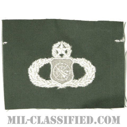 兵器指揮章 (マスター)（Weapons Director Badge, Master）[カラー/空軍セージグリーン生地/パッチ]の画像