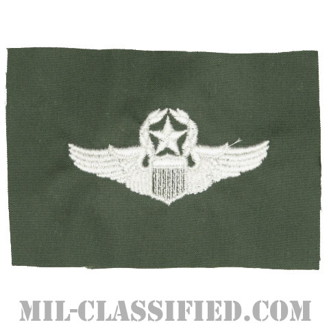 航空機操縦士章 (コマンド・パイロット)（Air Force Command Pilot Badge）[カラー/空軍セージグリーン生地/パッチ]の画像
