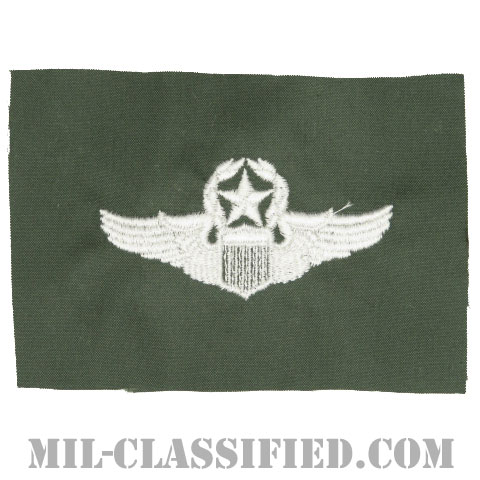 航空機操縦士章 (コマンド・パイロット)（Air Force Command Pilot Badge）[カラー/空軍セージグリーン生地/パッチ]画像