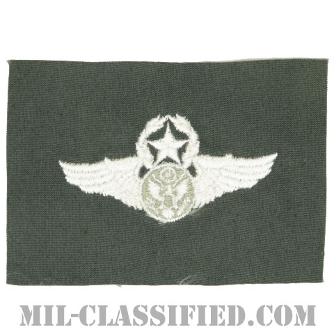 航空機搭乗員章 (下士官用マスター・エアクルー)（Aircrew Enlisted Badge, Master）[カラー/空軍セージグリーン生地/パッチ]の画像