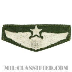 航空機操縦士章 (シニア・パイロット)（Air Force Senior Pilot Badge）[カラー/パッチ/中古1点物]の画像