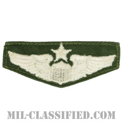 航空機操縦士章 (シニア・パイロット)（Air Force Senior Pilot Badge）[カラー/パッチ/中古1点物]画像