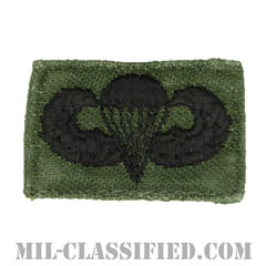 空挺章 (ベーシック)（Parachutist Badge, Basic）[サブデュード/1960s/コットン100％/パッチ/中古1点物]の画像